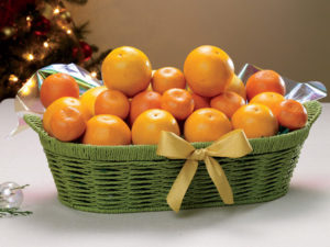 Abundance citrus basket